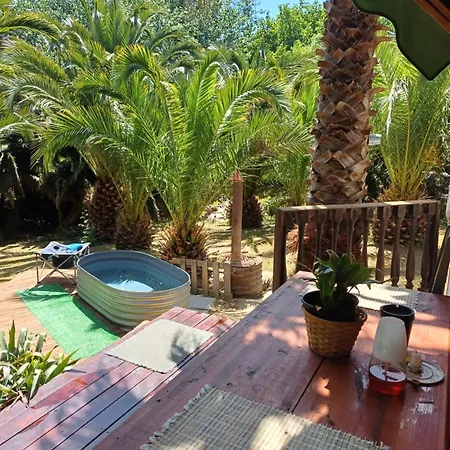 The Farmhouse Palm Tree Cabin Stellenbosch Exterior foto