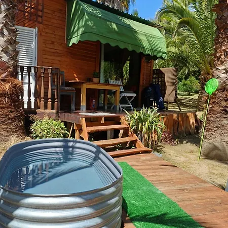 The Farmhouse Palm Tree Cabin Stellenbosch Exterior foto
