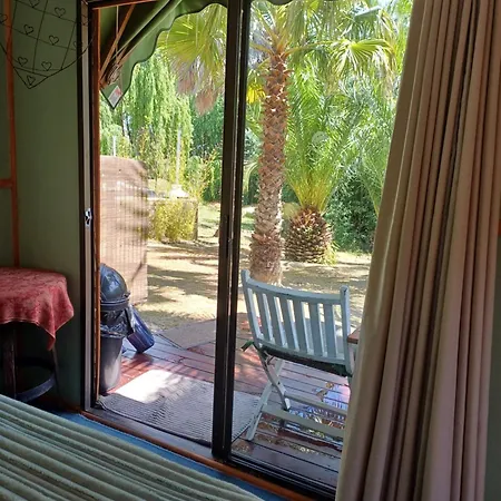 The Farmhouse Palm Tree Cabin Stellenbosch Exterior foto