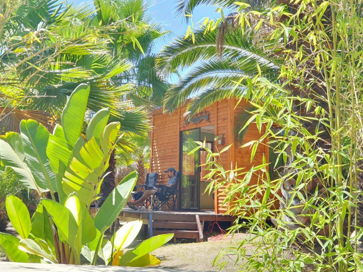 Chalet The Palm Tree