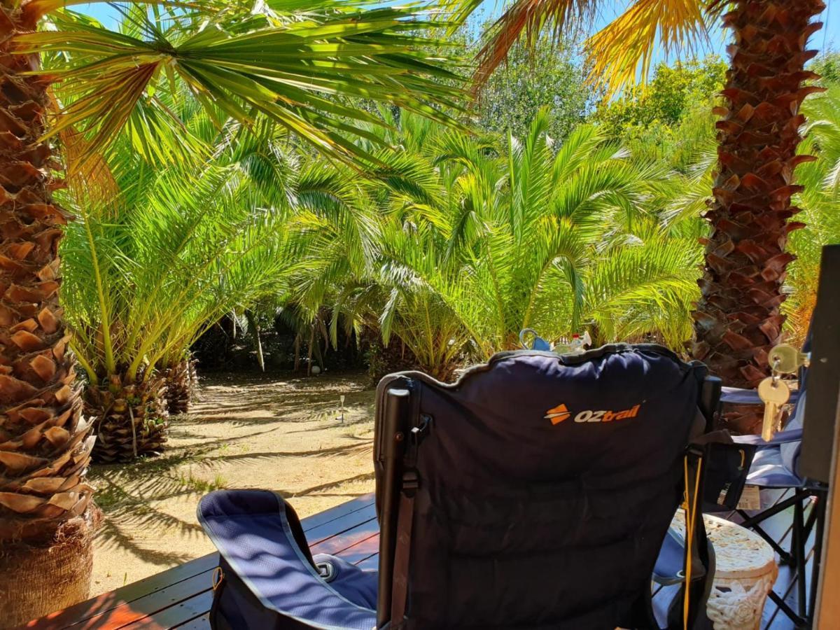 Chalet The Palm Tree *