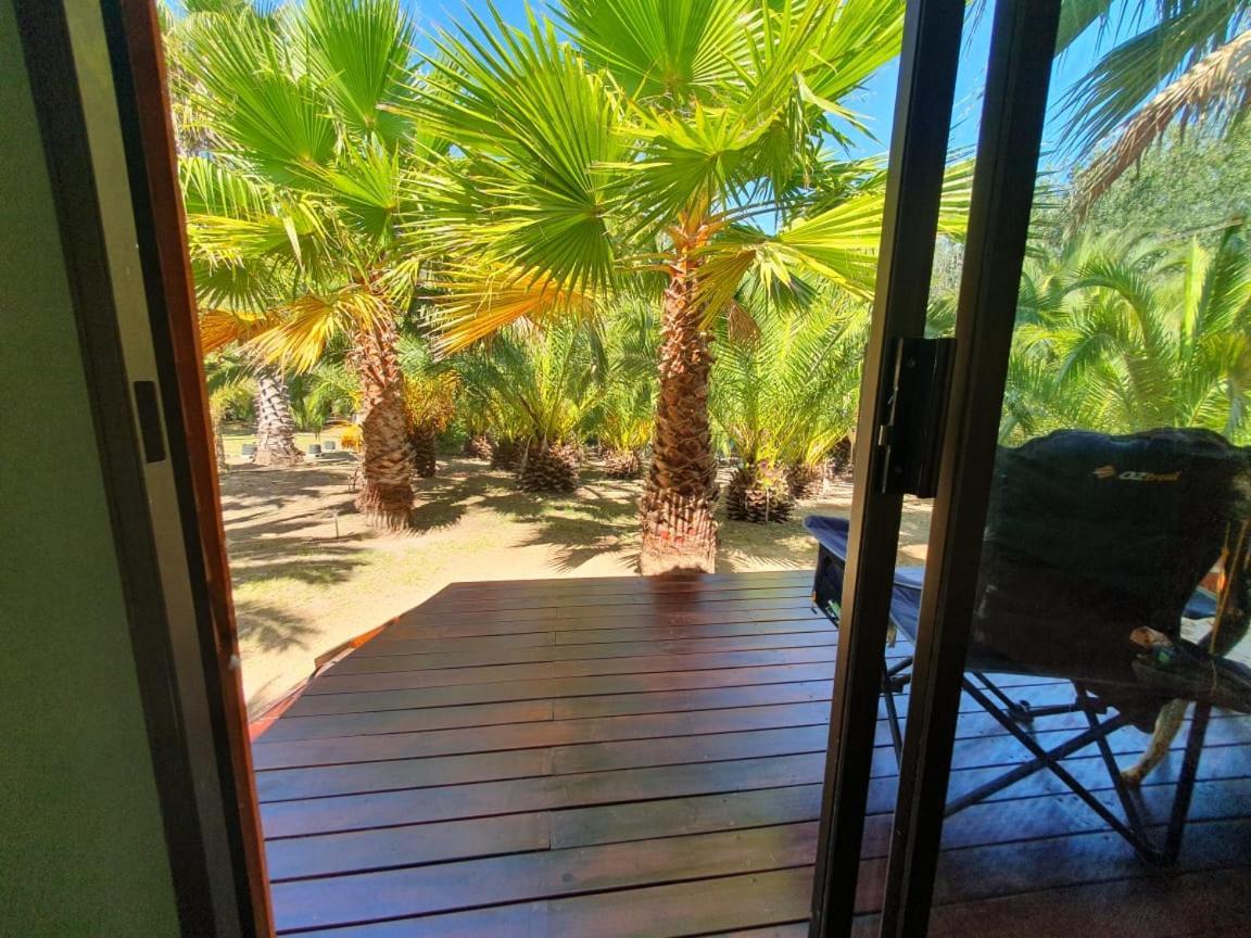 The Palm Tree Chalet *