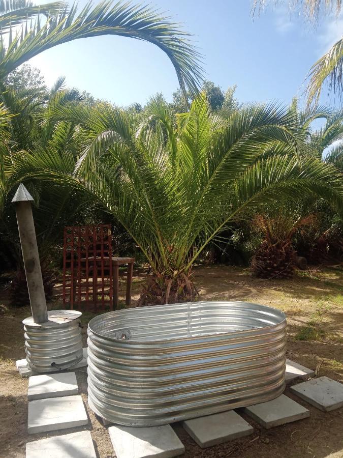 Chalet The Palm Tree Stellenbosch