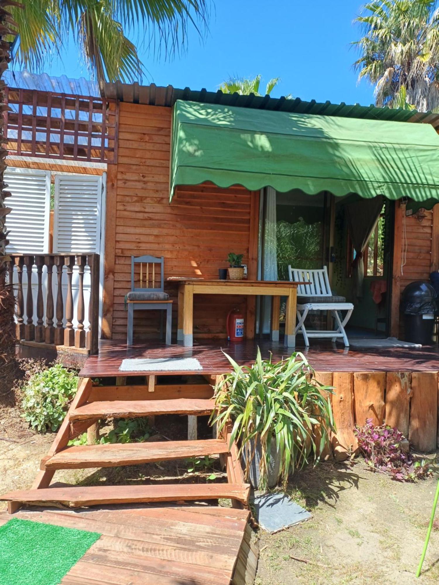 The Palm Tree Chalet *